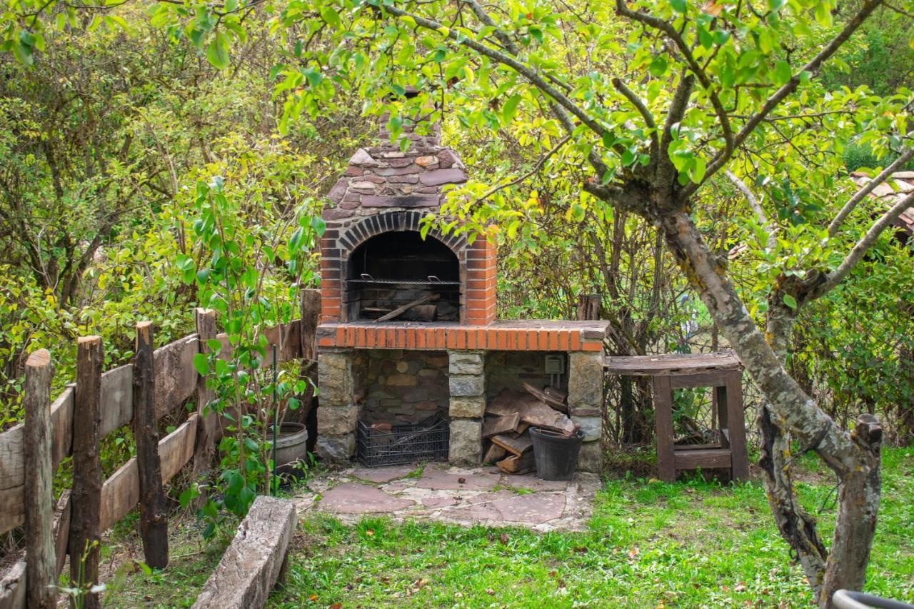 Saragueta Casa Monaut, Acogedores Apartamentos A Los Pies De La Selva De Irati מראה חיצוני תמונה