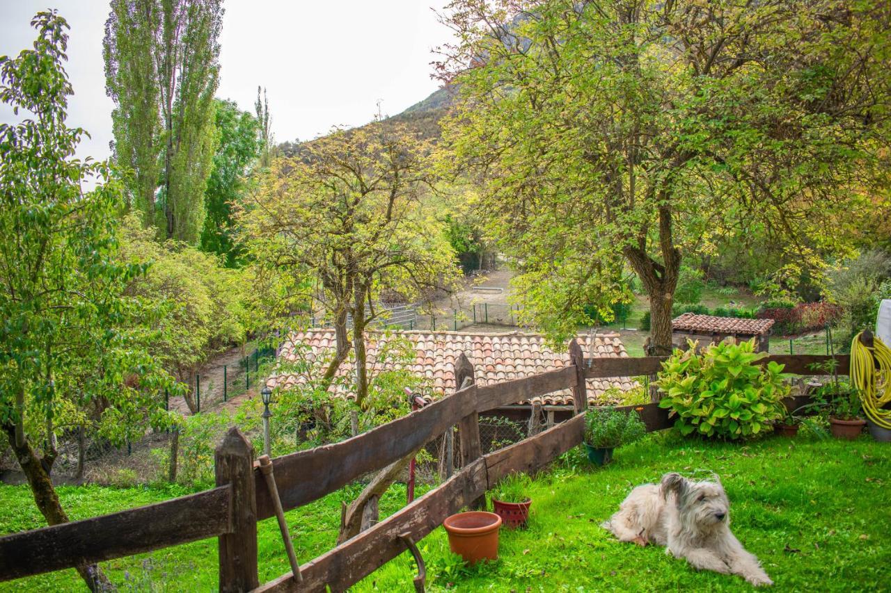 Saragueta Casa Monaut, Acogedores Apartamentos A Los Pies De La Selva De Irati מראה חיצוני תמונה